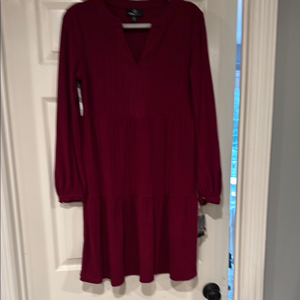 Elegant Burgundy Long Sleeve Dress